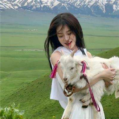 狐狸禁猎期