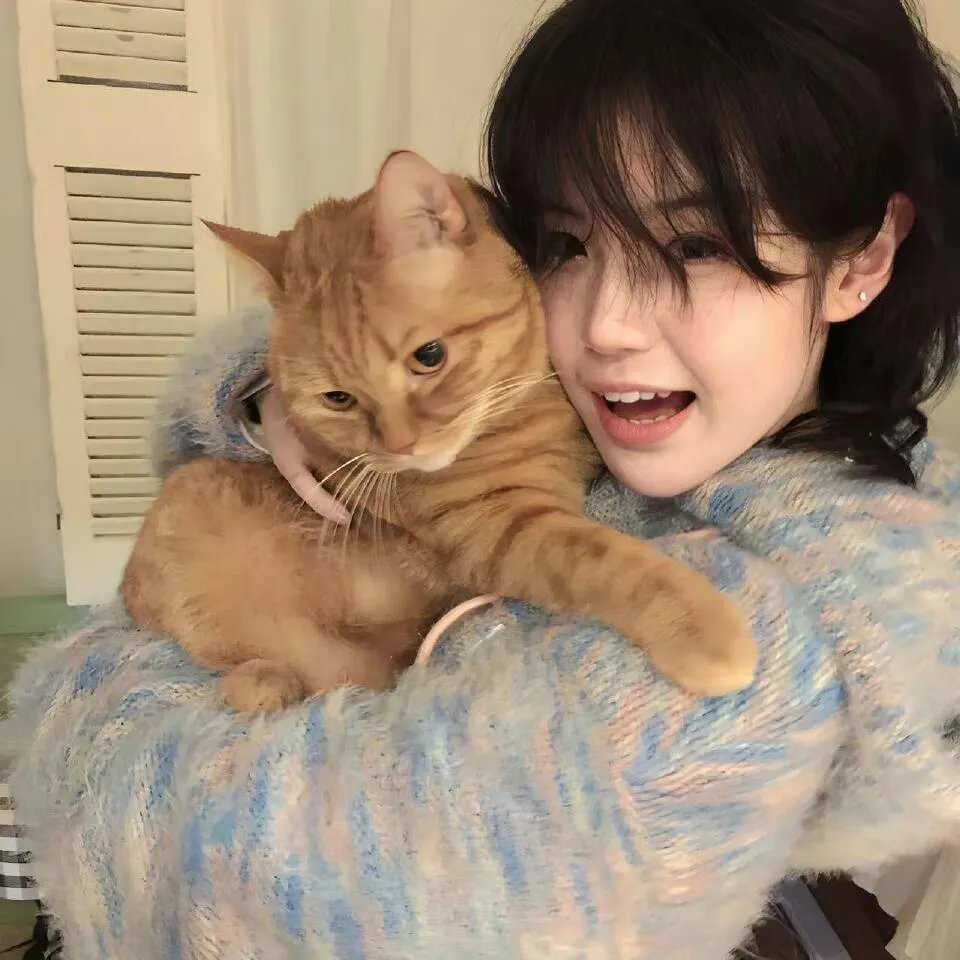 猎狐